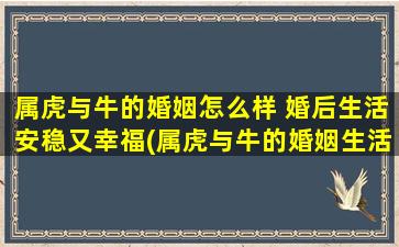 属虎与牛的婚姻怎么样 婚后生活安稳又幸福(属虎与牛的婚姻生活：安稳幸福的秘诀是什么？)